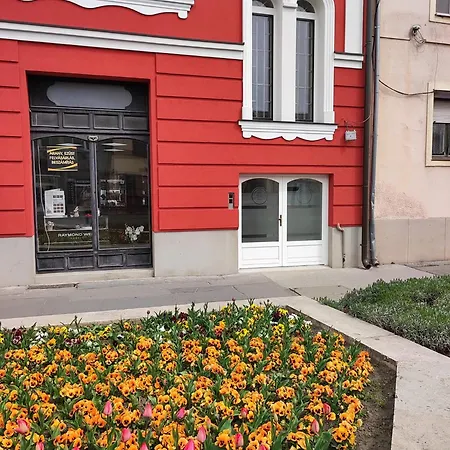Stafetahaz Apartment